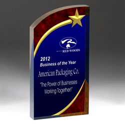 Shooting Star Acrylic Award