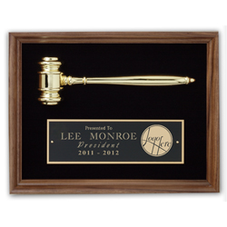 Golden Gavel Shadowbox Award