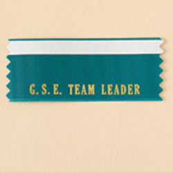 G.S.E. Team Leader